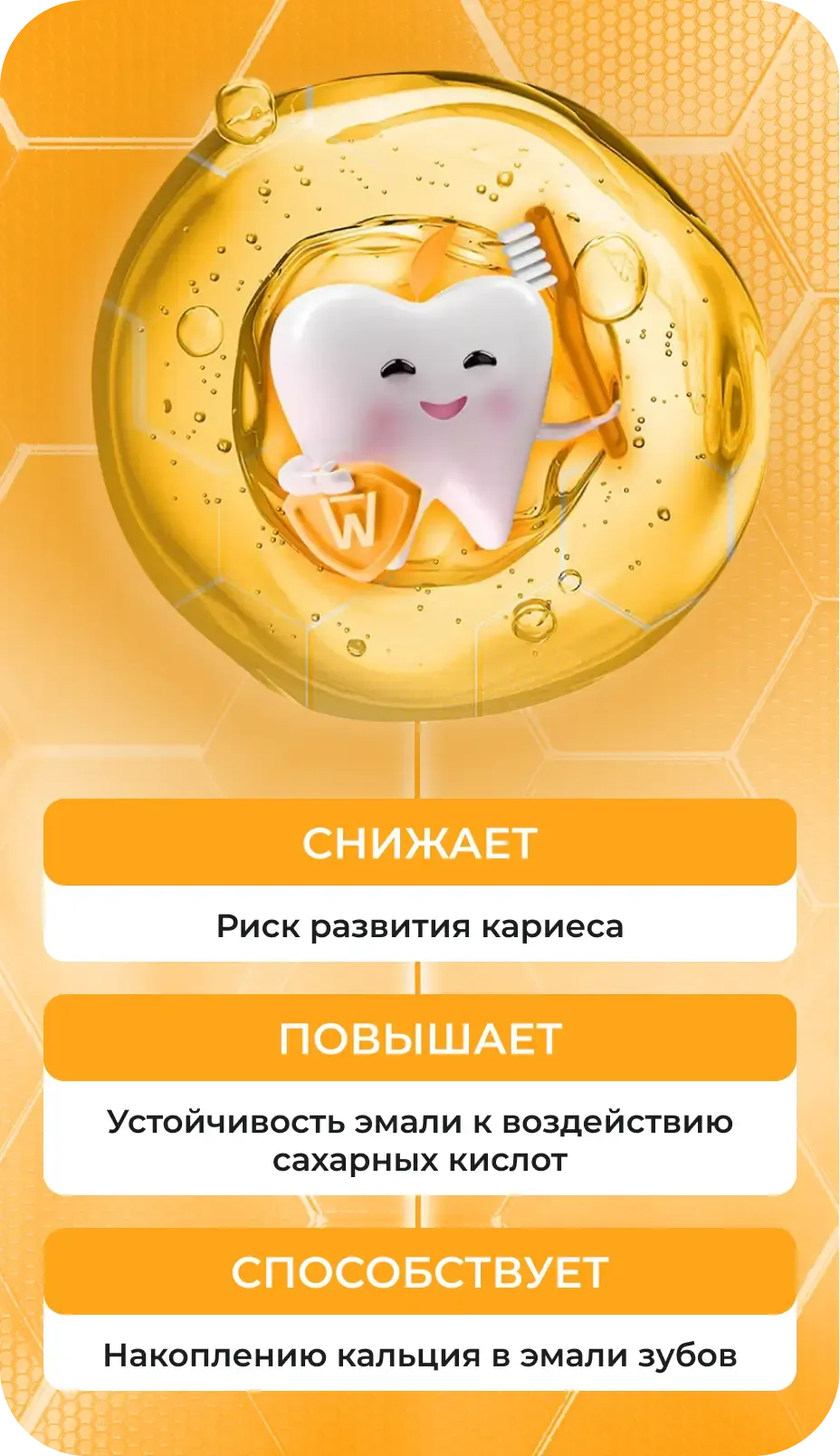 block-3-1-mobile-(1)-(1)-webp